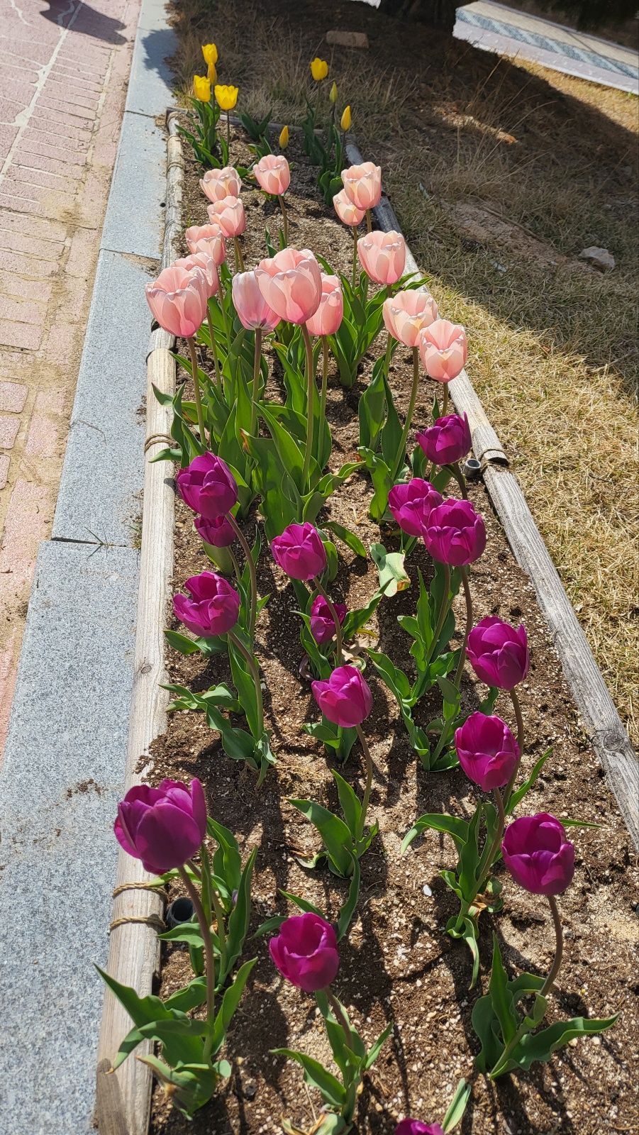 KakaoTalk_20230322_103015759_16